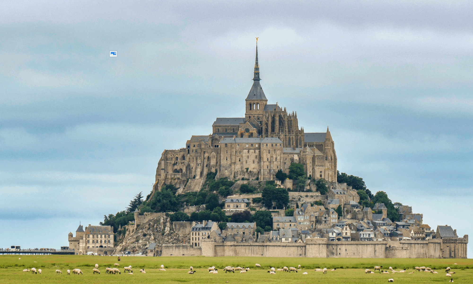 You are currently viewing Mama & Neko vous attendent ici bientôt !